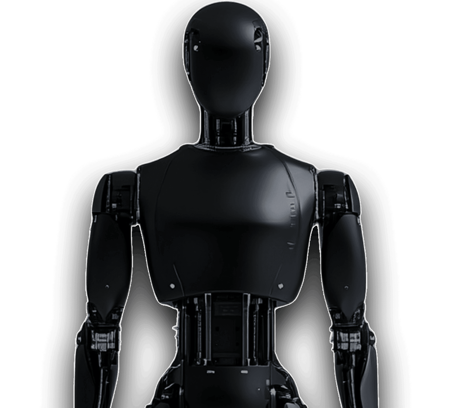 Vector